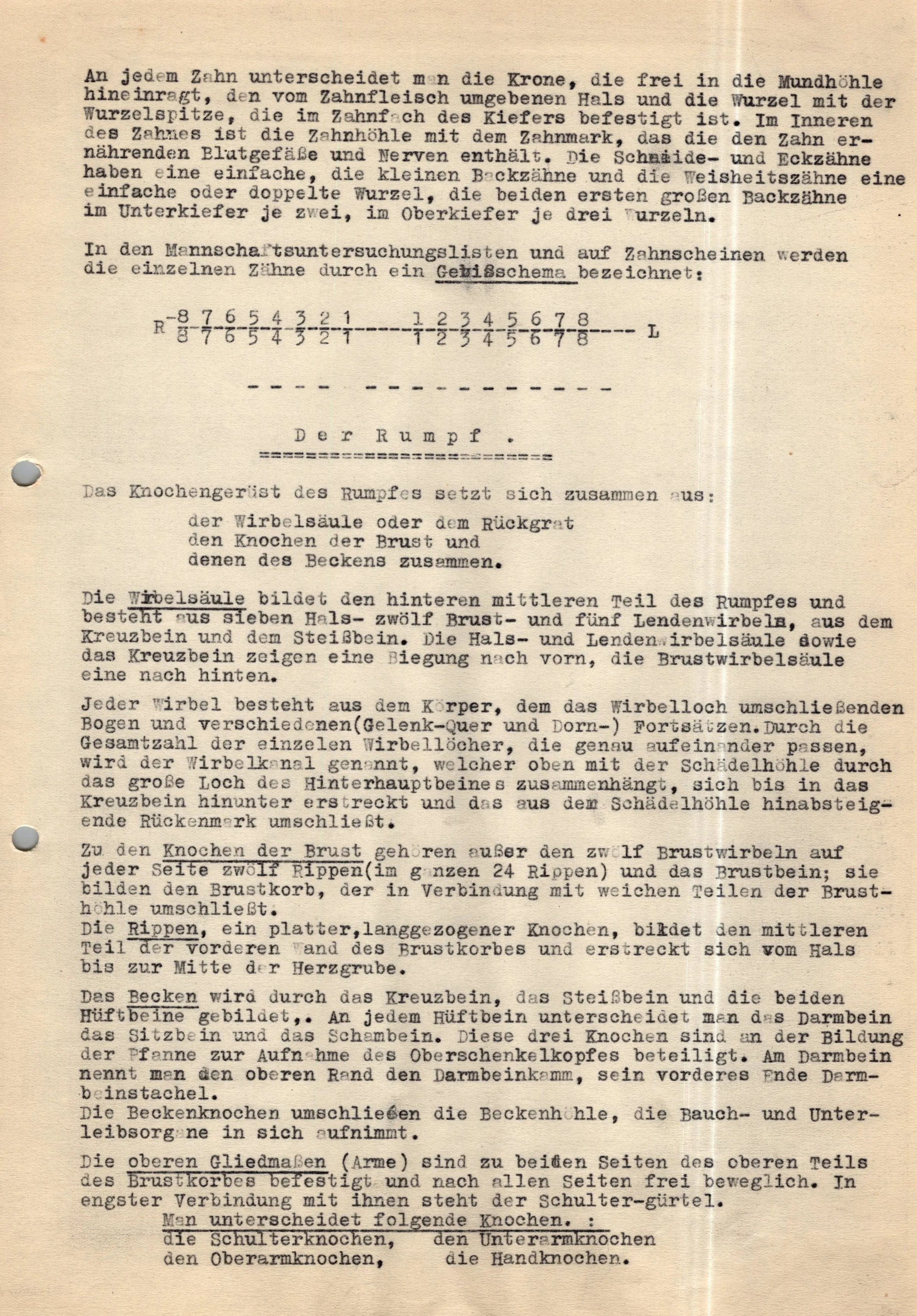 Original German WWII Massive Award & Document Grouping of Sanitäts-Feldwebel Friedrich Hofsommer of Panzerjäger - Abteilung 15