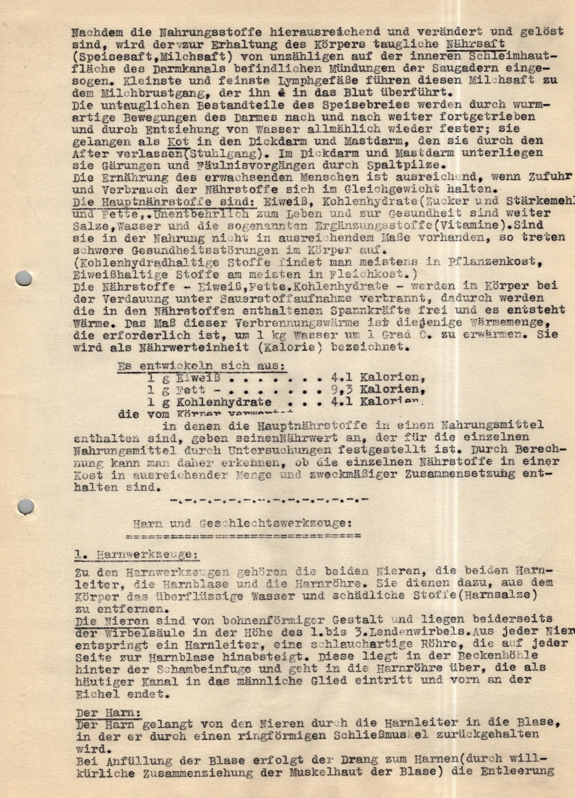 Original German WWII Massive Award & Document Grouping of Sanitäts-Feldwebel Friedrich Hofsommer of Panzerjäger - Abteilung 15