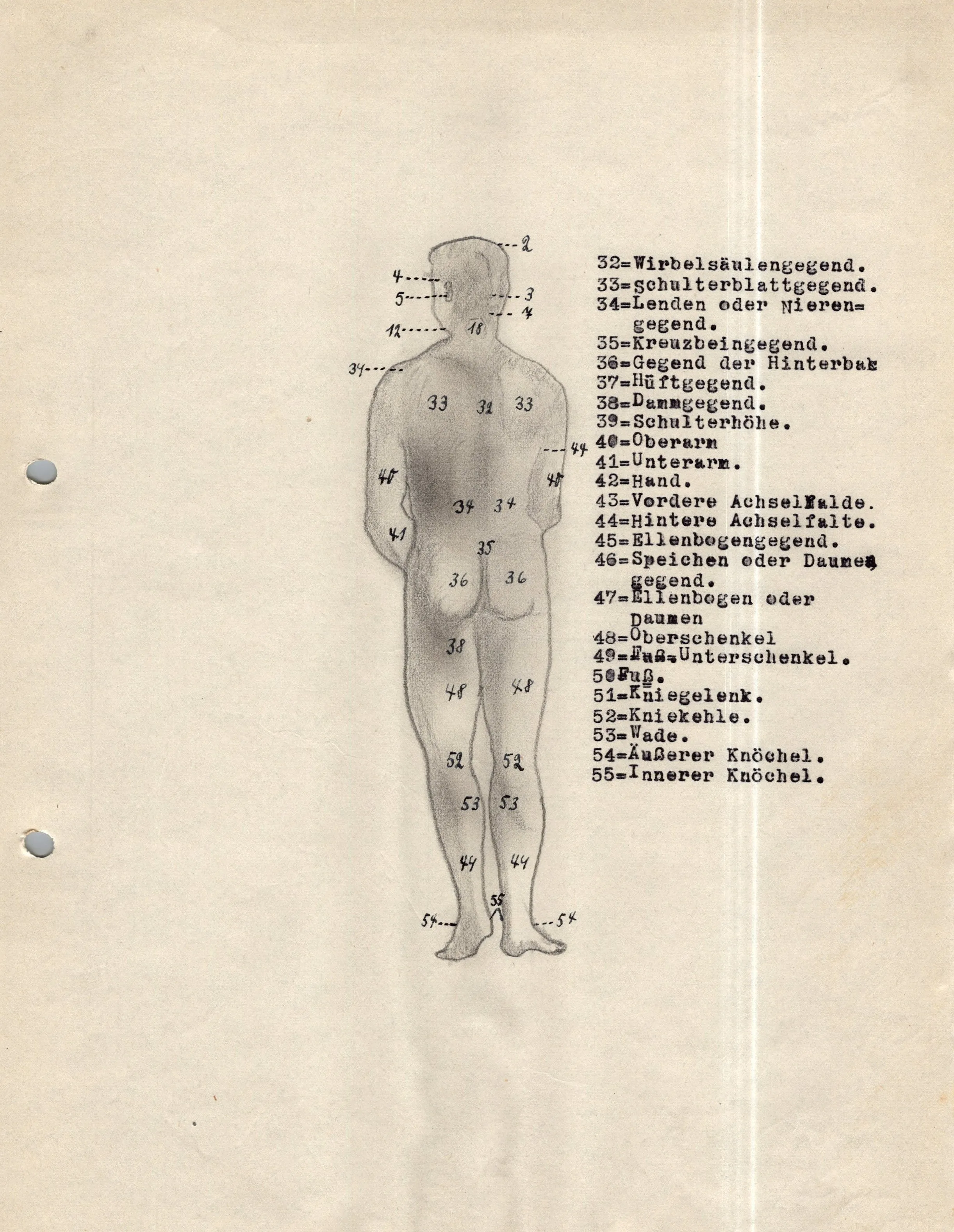 Original German WWII Massive Award & Document Grouping of Sanitäts-Feldwebel Friedrich Hofsommer of Panzerjäger - Abteilung 15