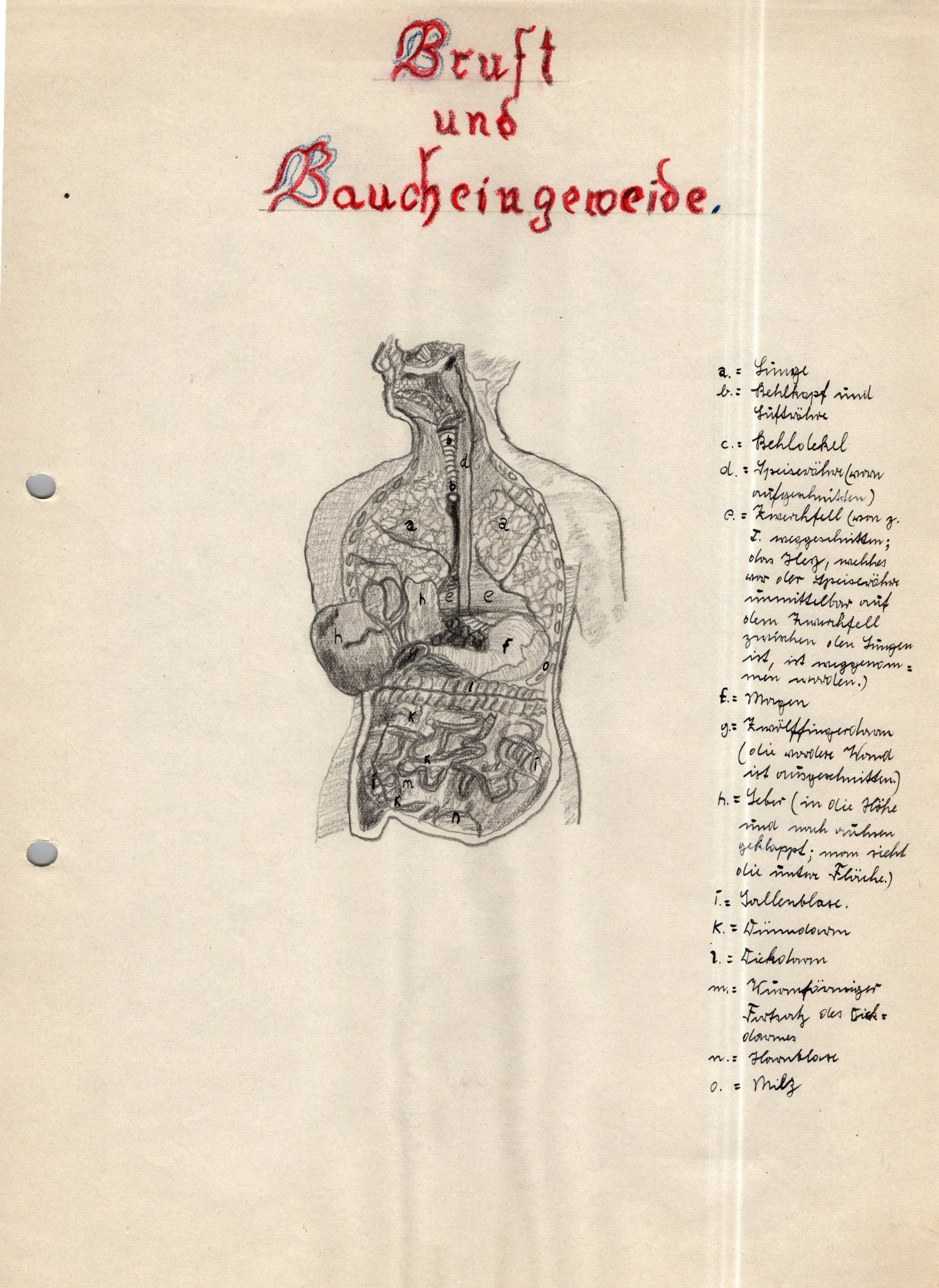 Original German WWII Massive Award & Document Grouping of Sanitäts-Feldwebel Friedrich Hofsommer of Panzerjäger - Abteilung 15