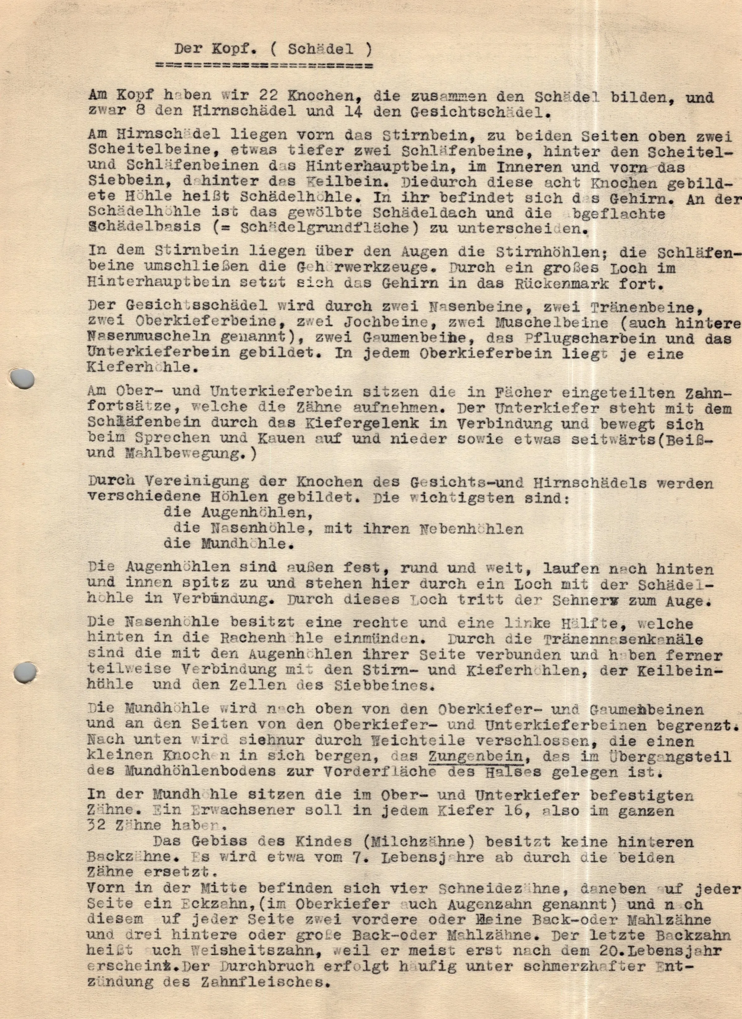 Original German WWII Massive Award & Document Grouping of Sanitäts-Feldwebel Friedrich Hofsommer of Panzerjäger - Abteilung 15