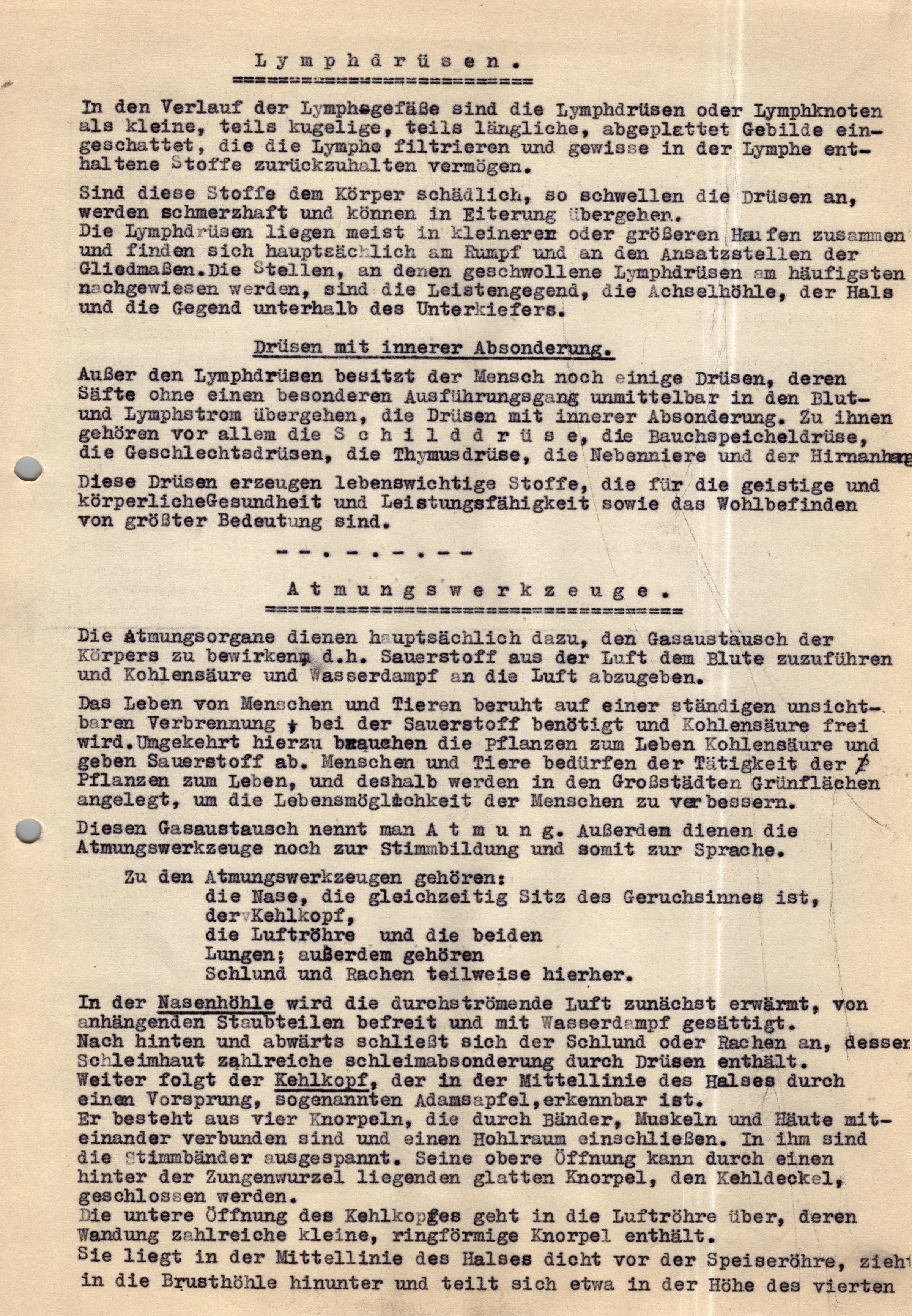 Original German WWII Massive Award & Document Grouping of Sanitäts-Feldwebel Friedrich Hofsommer of Panzerjäger - Abteilung 15