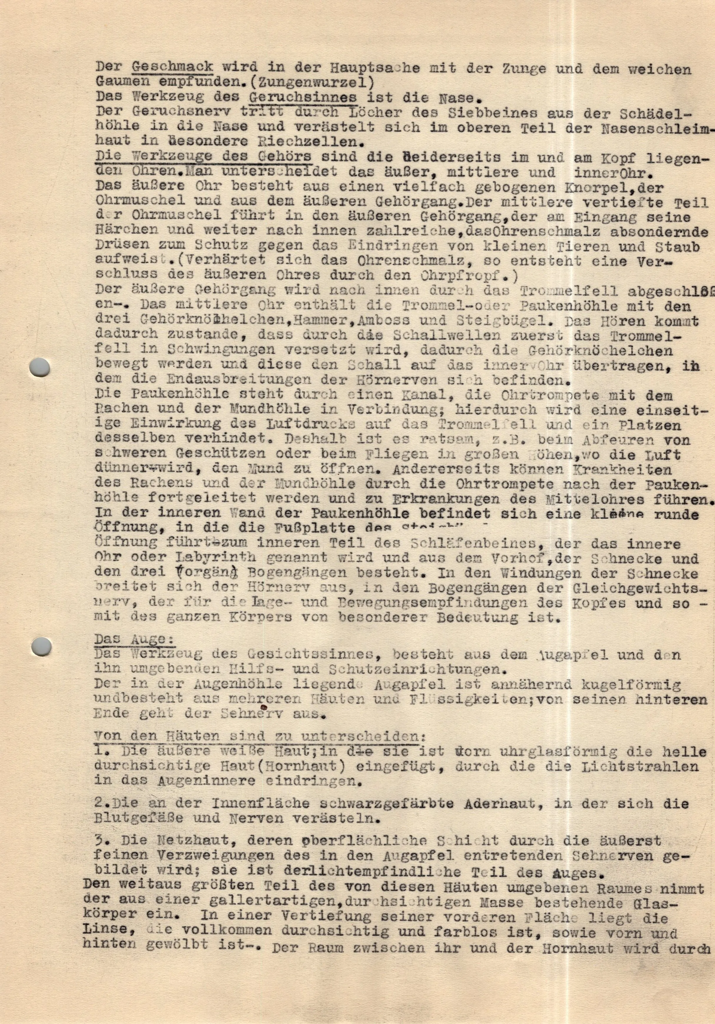 Original German WWII Massive Award & Document Grouping of Sanitäts-Feldwebel Friedrich Hofsommer of Panzerjäger - Abteilung 15