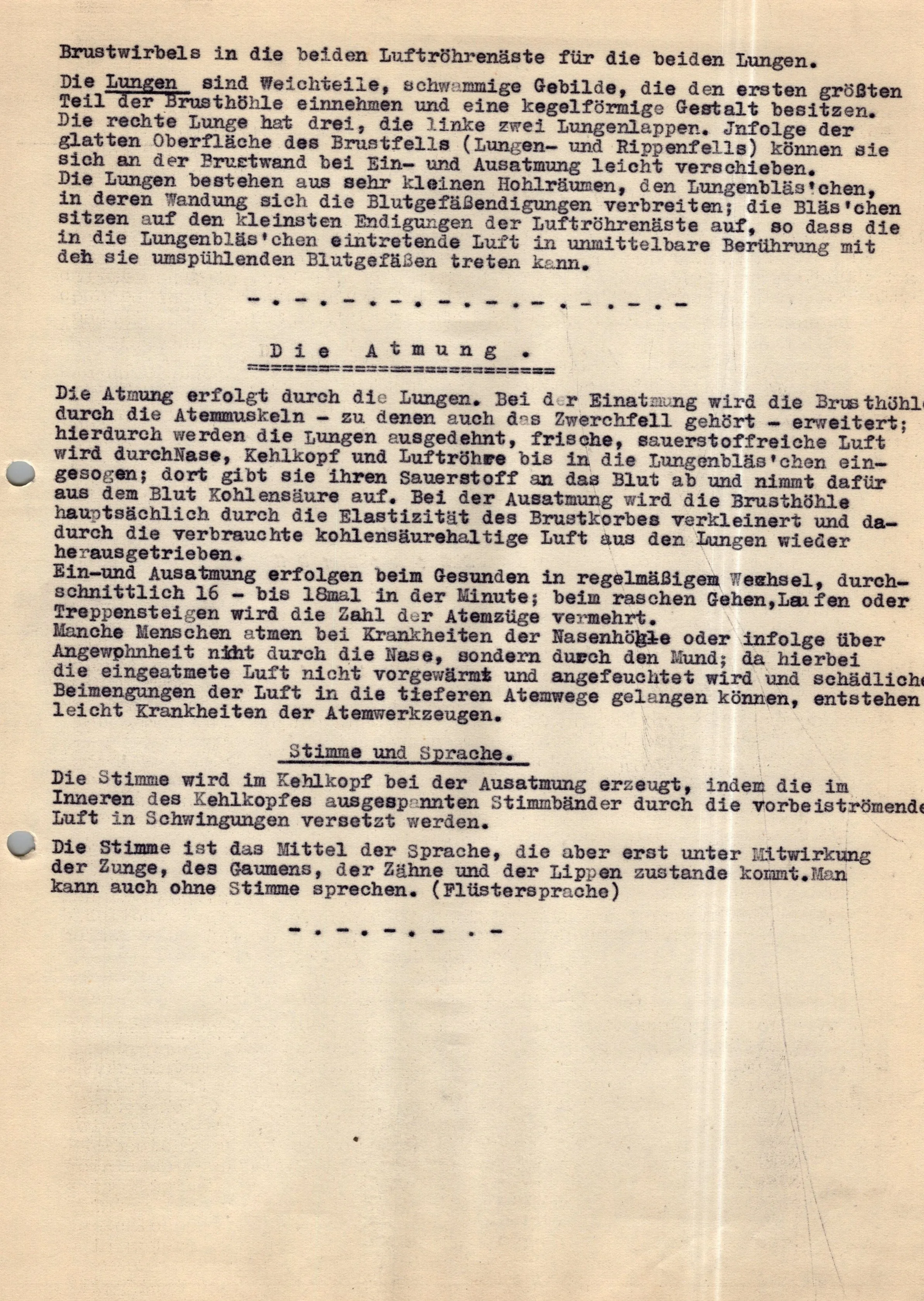 Original German WWII Massive Award & Document Grouping of Sanitäts-Feldwebel Friedrich Hofsommer of Panzerjäger - Abteilung 15