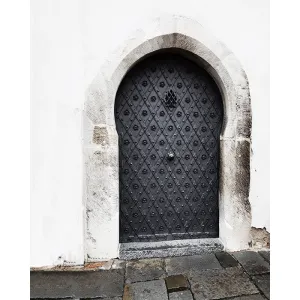 Ornate Steel Door Printed Backdrop