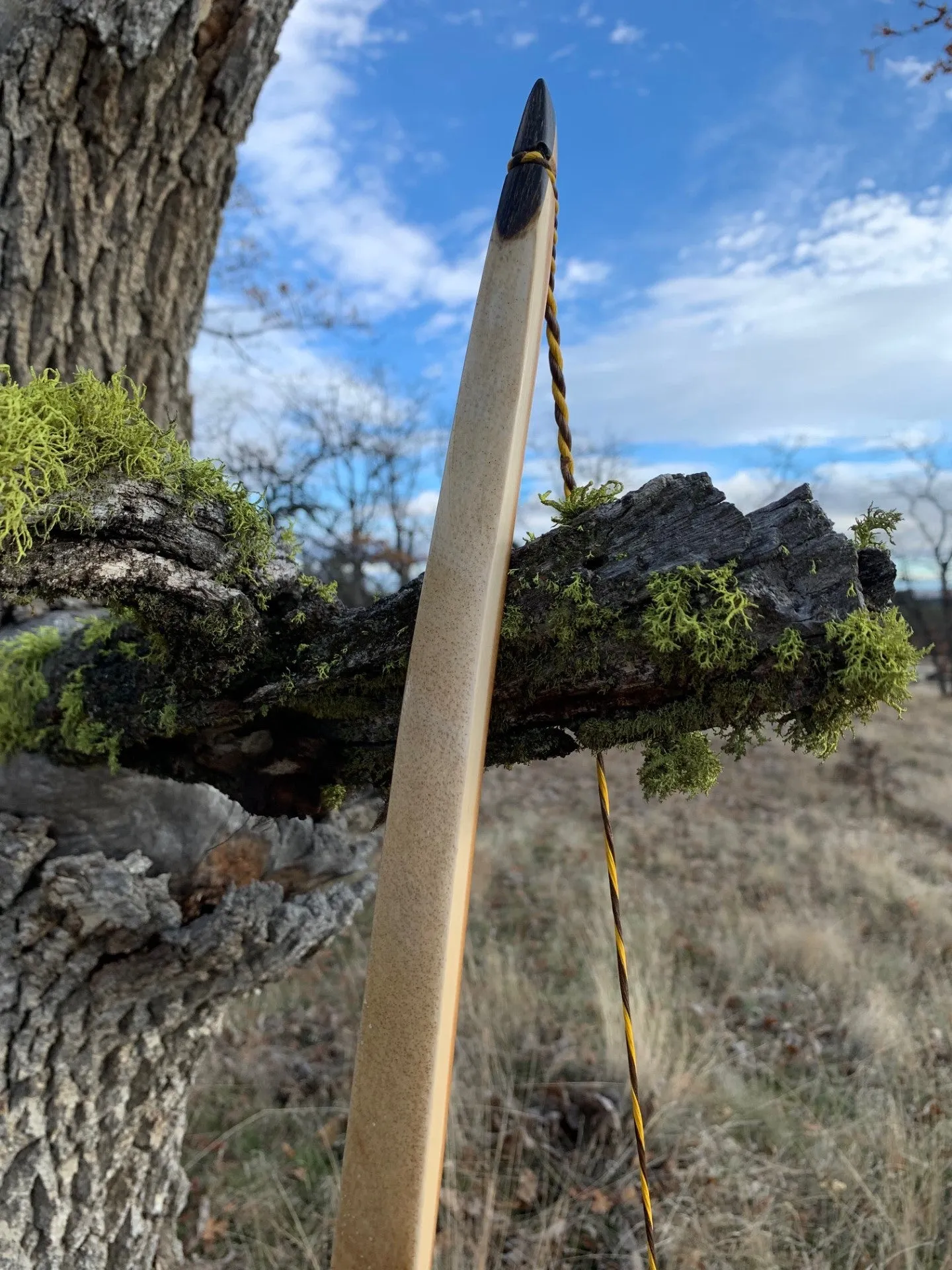 Pacific Yew takedown with rawhide back and water buffalo tips.