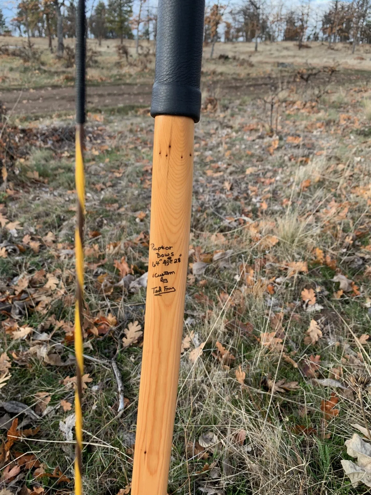 Pacific Yew takedown with rawhide back and water buffalo tips.