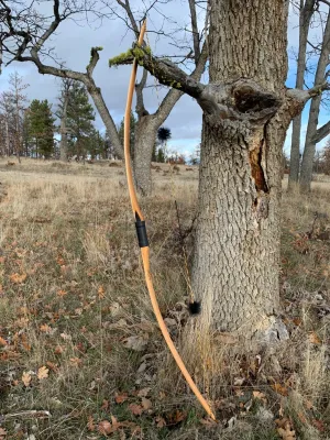 Pacific Yew takedown with rawhide back and water buffalo tips.