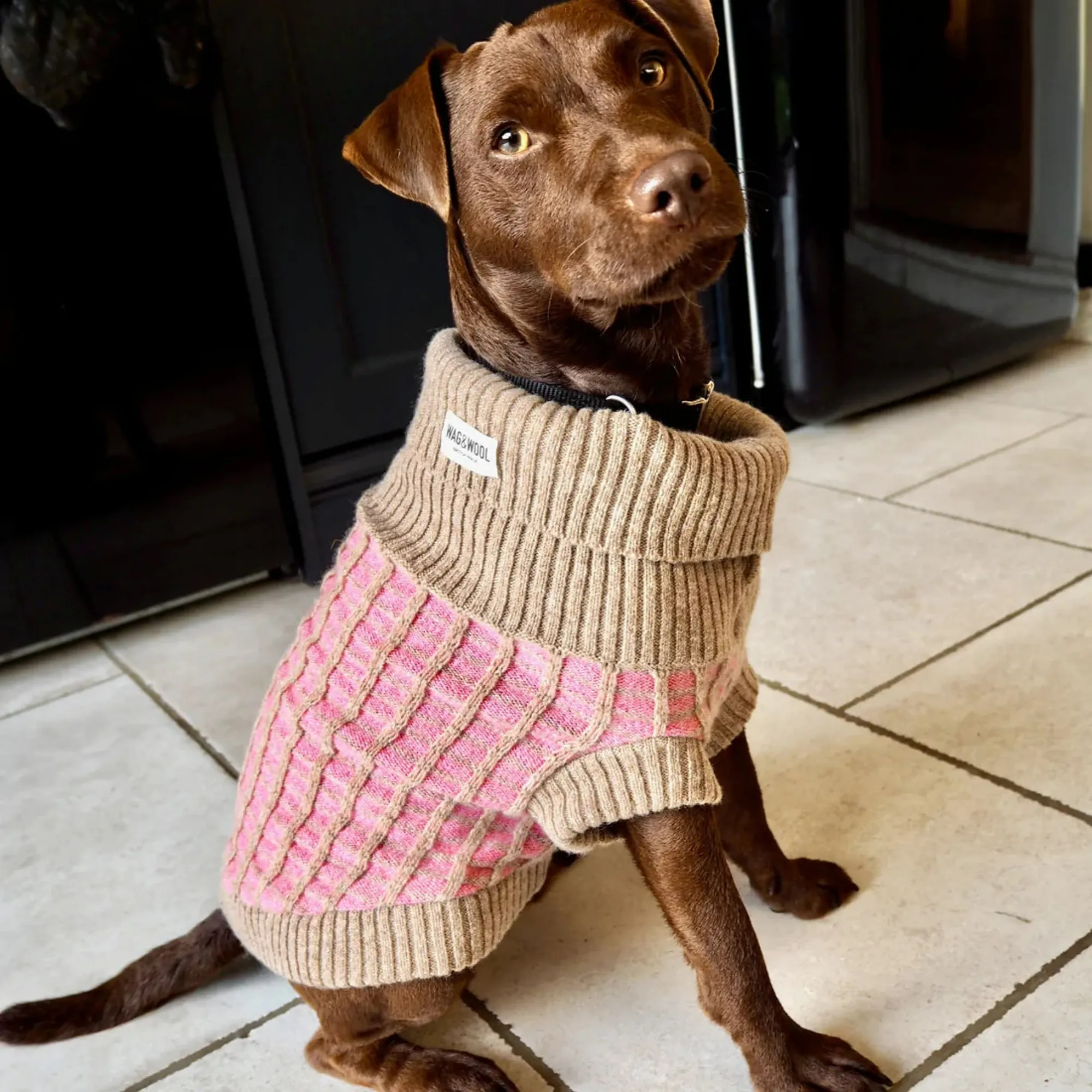 Paddy Dog Jumper Pink