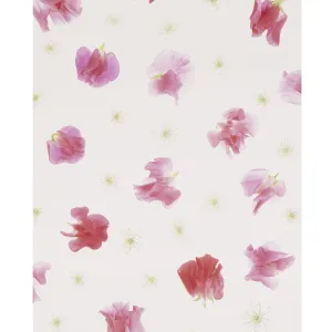 Painted Flower Petals Printed Backdrop