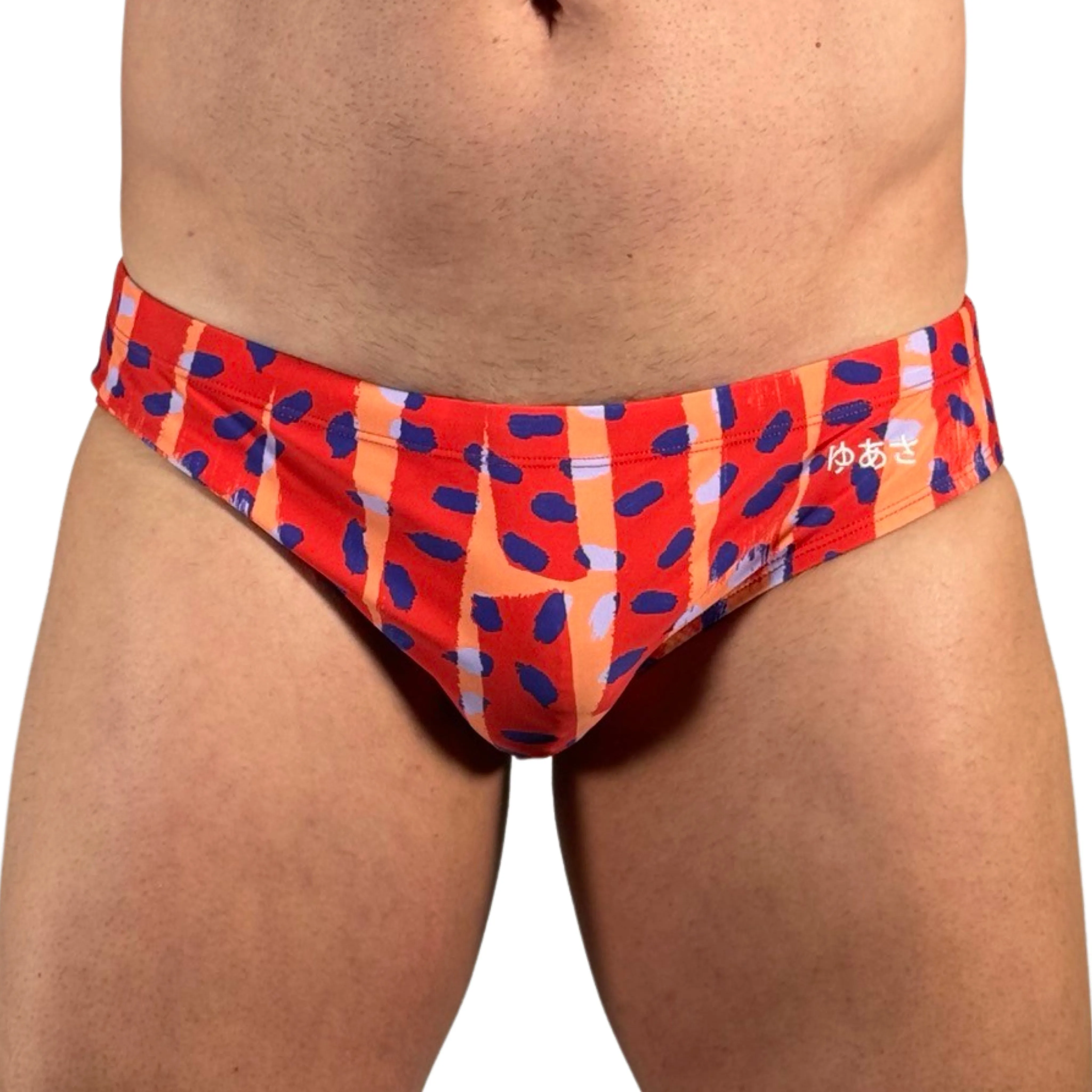 Painter's Stripe Swim Brief - Red