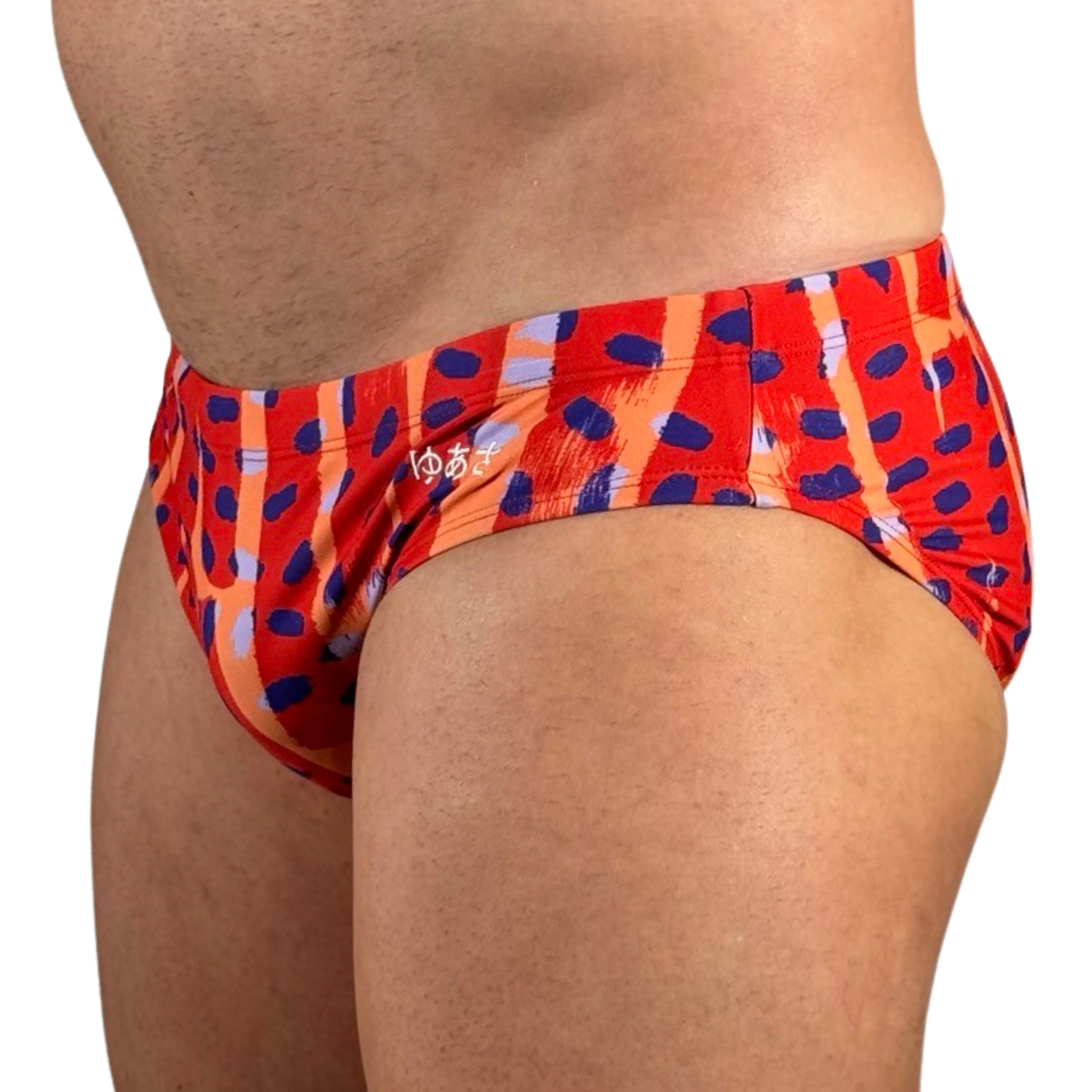 Painter's Stripe Swim Brief - Red