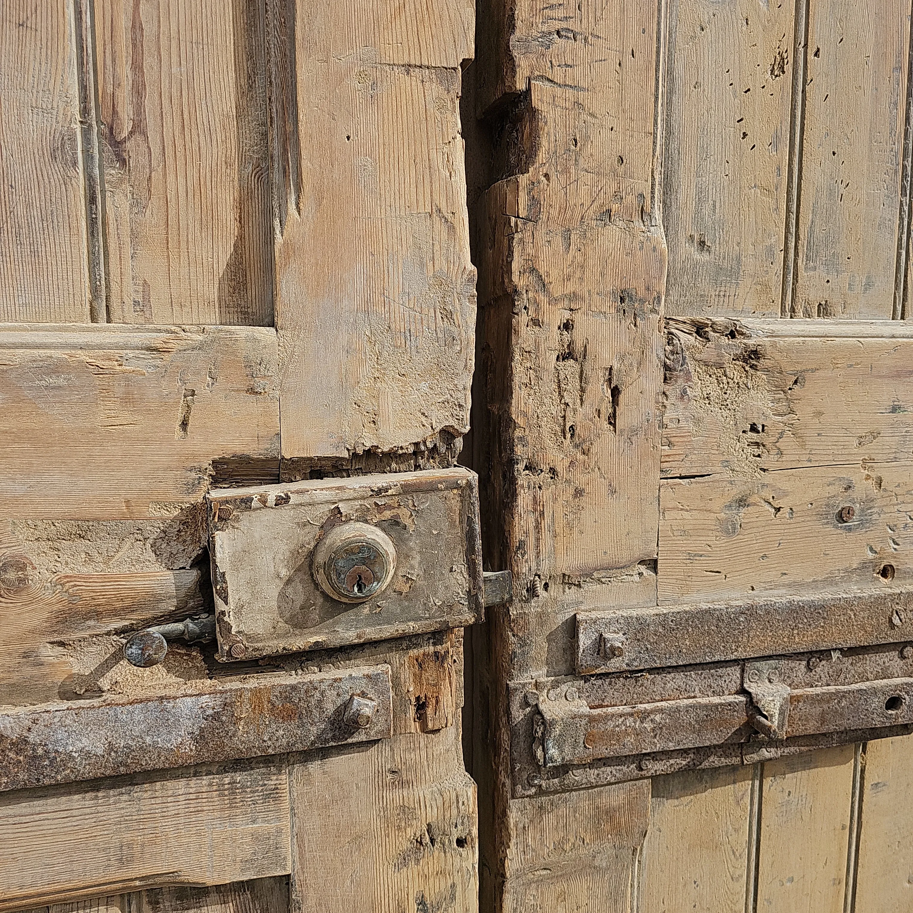 Pair of Carved Wood Panel Doors