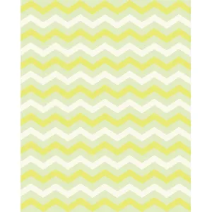 Pale Green Chevron Printed Backdrop