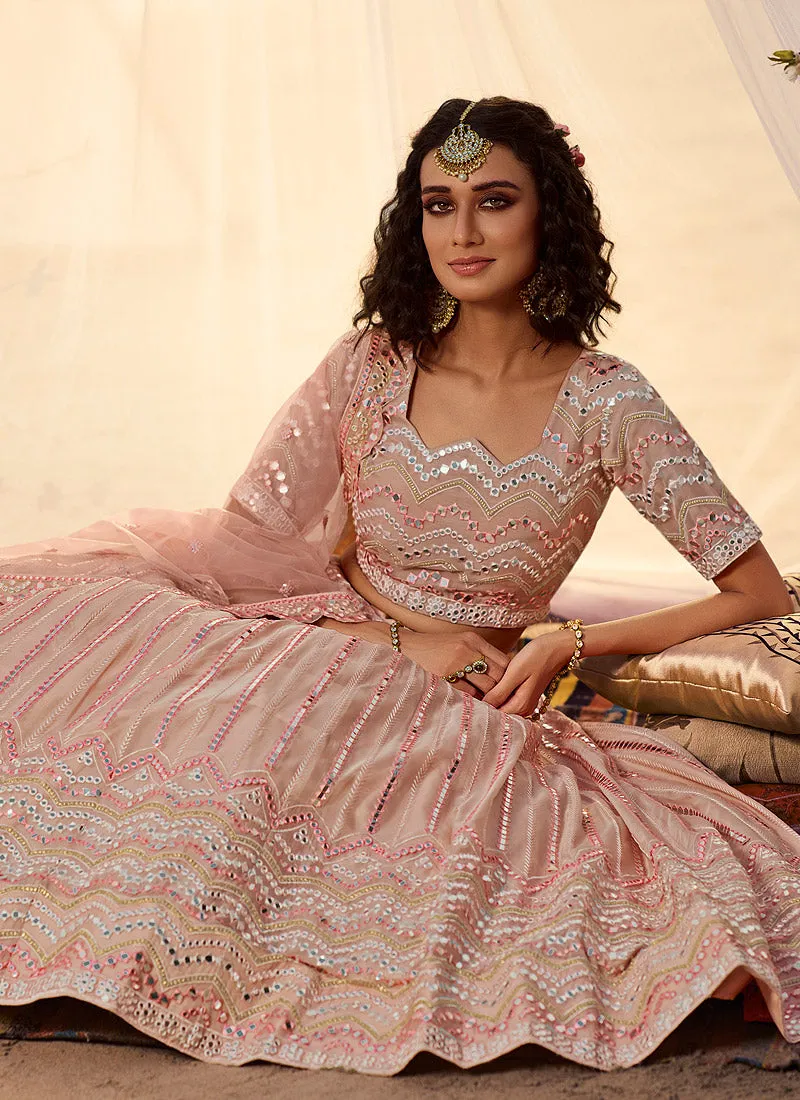 Pale Pink Embroidered Lehenga Choli