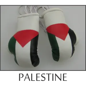 Palestine Mini Boxing Glove