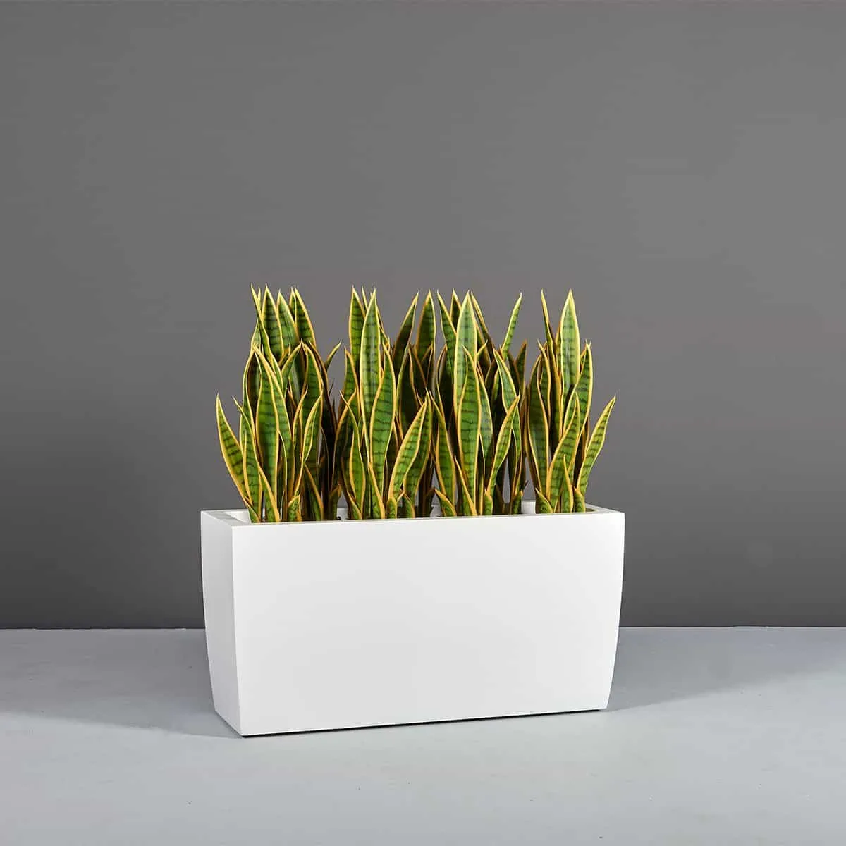 Panama Rectangular Tapered Planter