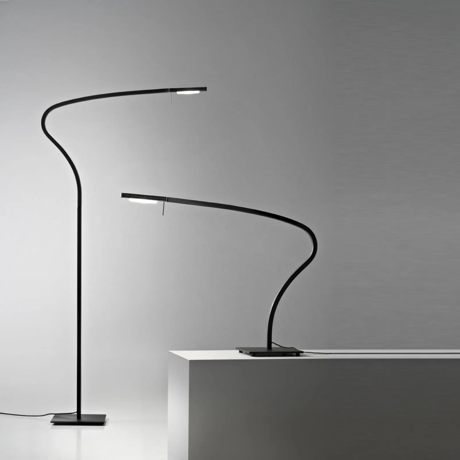 Paraph LED Floor Lamp