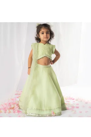 Pastel Green Sequins And Thread Embroidered Top With Lehnega Set