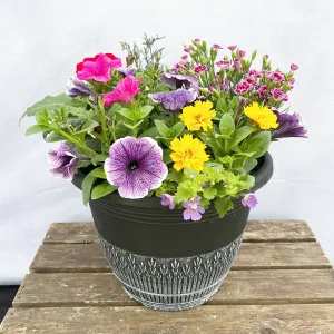 Patio Planter Subscription