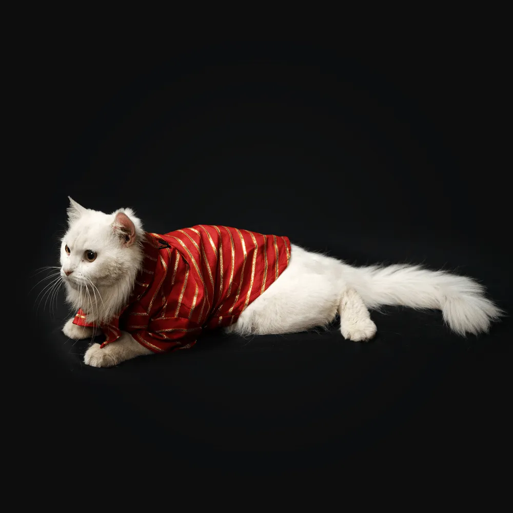 Pawgypets Occasion Wear Gota Shirt for Dogs and Cats (Red)