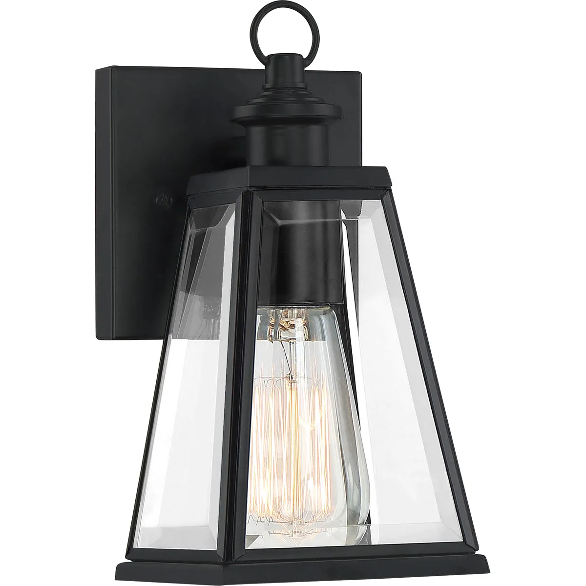 Paxton 1-Light Outdoor Lantern in Matte Black