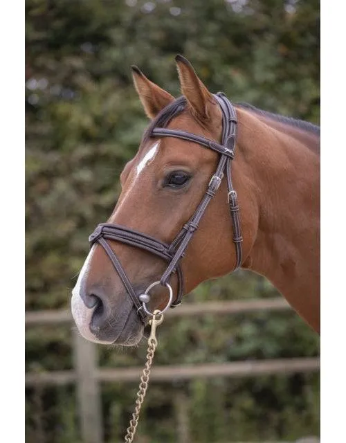 Penelope - Elegance Bridle