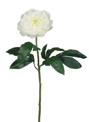 Peony Stem - 17" White