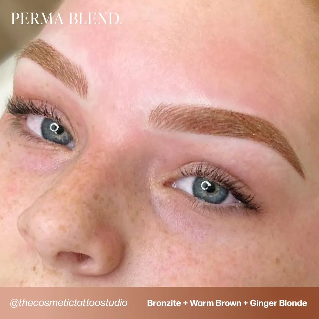 Perma Blend Ginger Blonde Sun Kissed Pallette Pigment