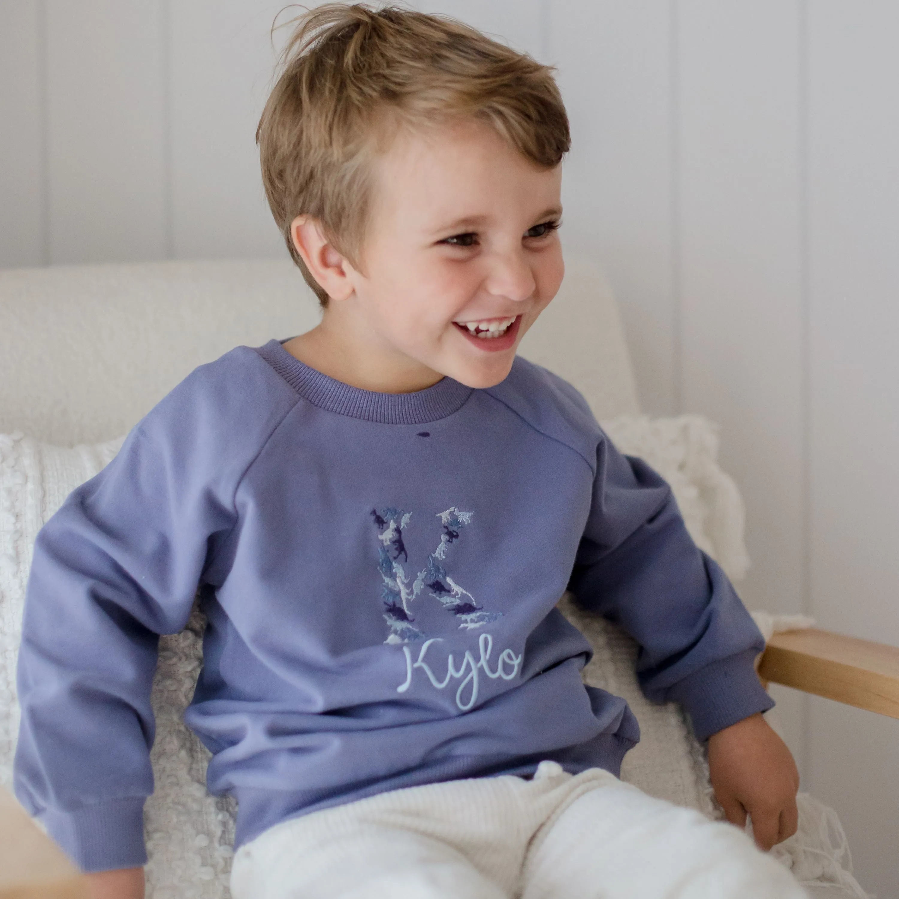 Personalised Dinosaur Design Baby and Toddler Crewnecks