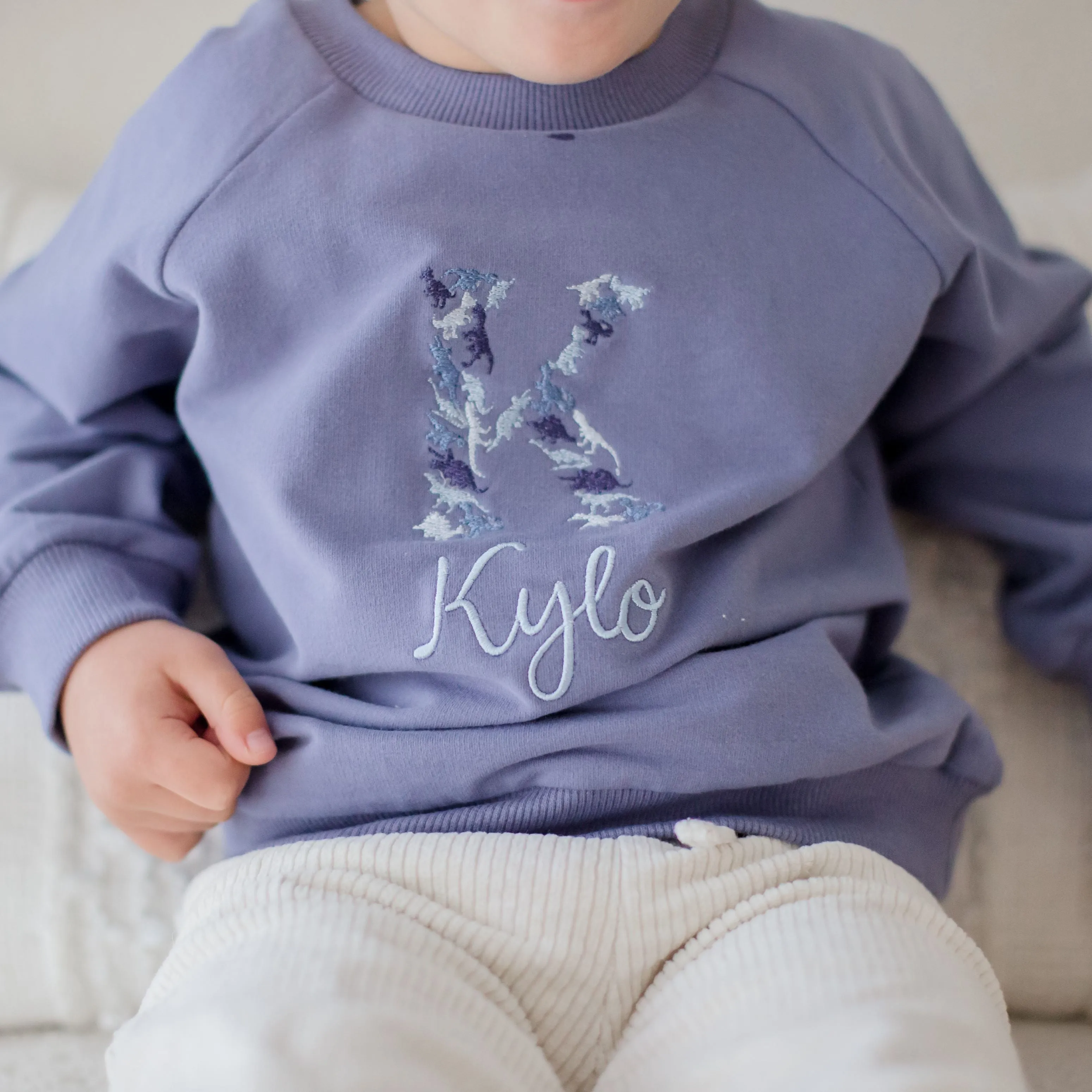 Personalised Dinosaur Design Baby and Toddler Crewnecks