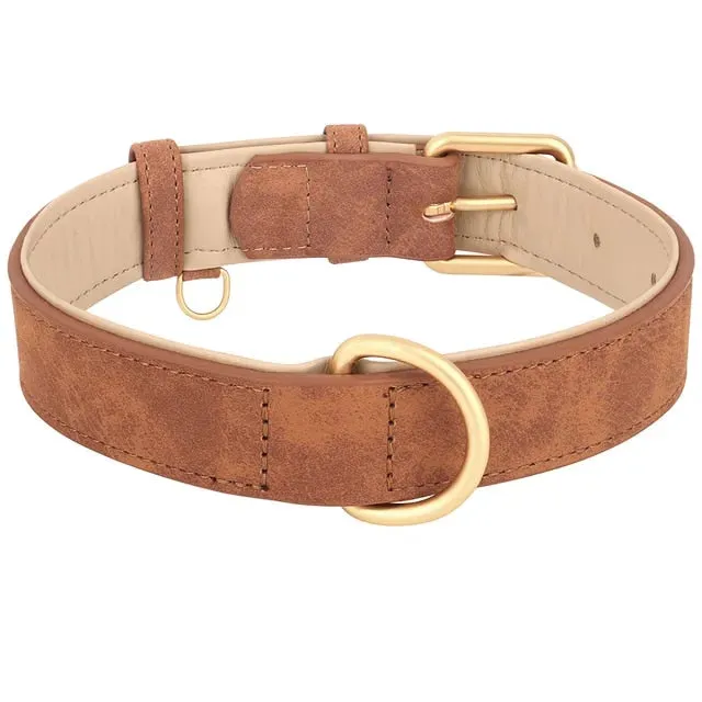 PetAffairs Durable Leather Dog Collar with Soft Padding