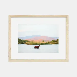 Photographic Print | A Horse With No Name II