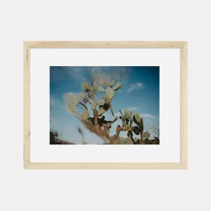 Photographic Print | Trippy Cactus