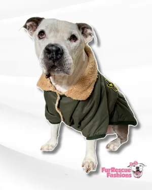 Pilot Dog Bomber Jacket