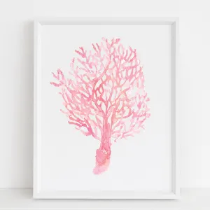 Pink Coral