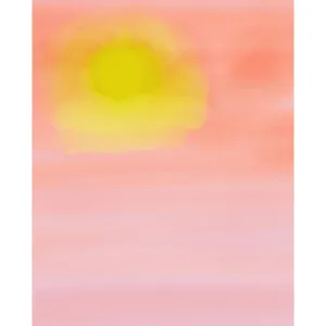 Pink Sunset Printed Backdrop