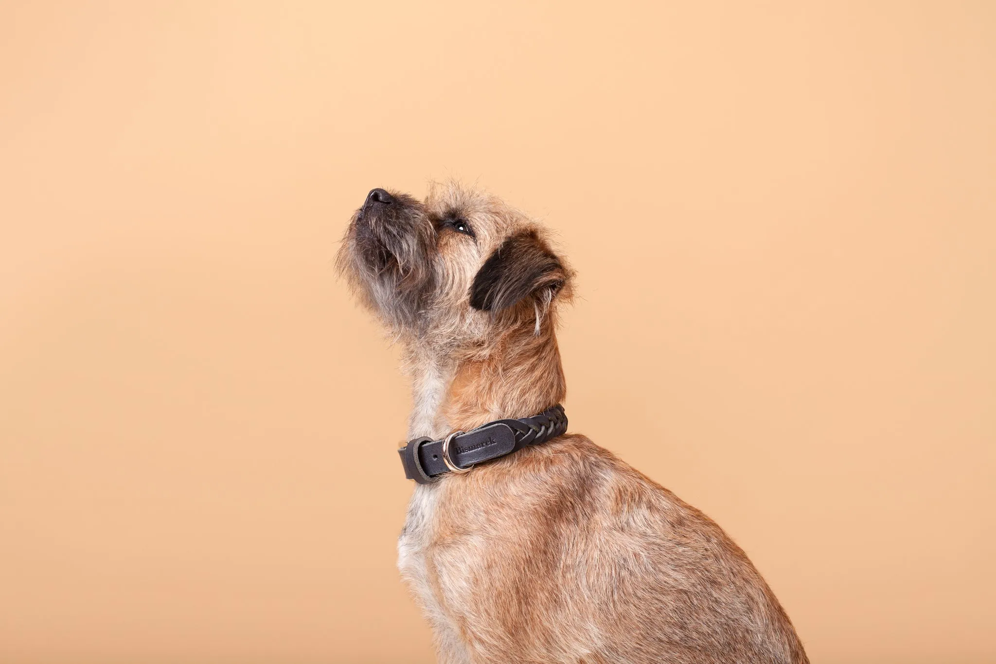 Plaited Leather Collar in Black