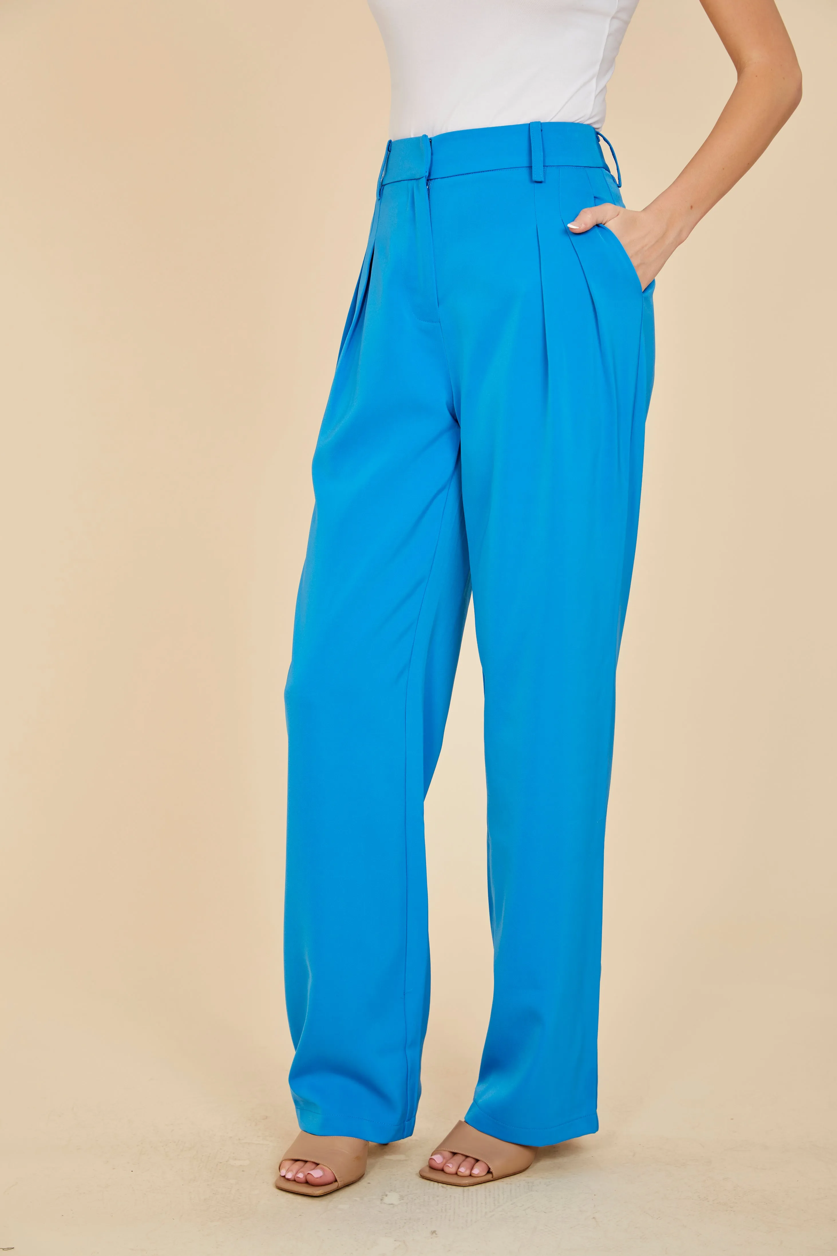 Pleated Wide Leg Trouser