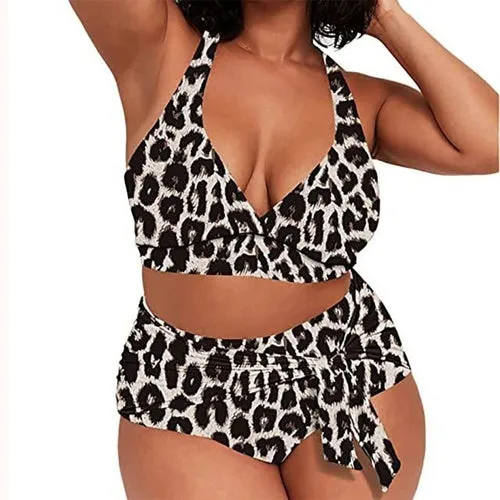 Plus Size Animal Print Bikini Set