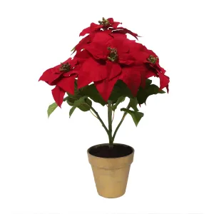 Poinsettia Branch in Pot 28"