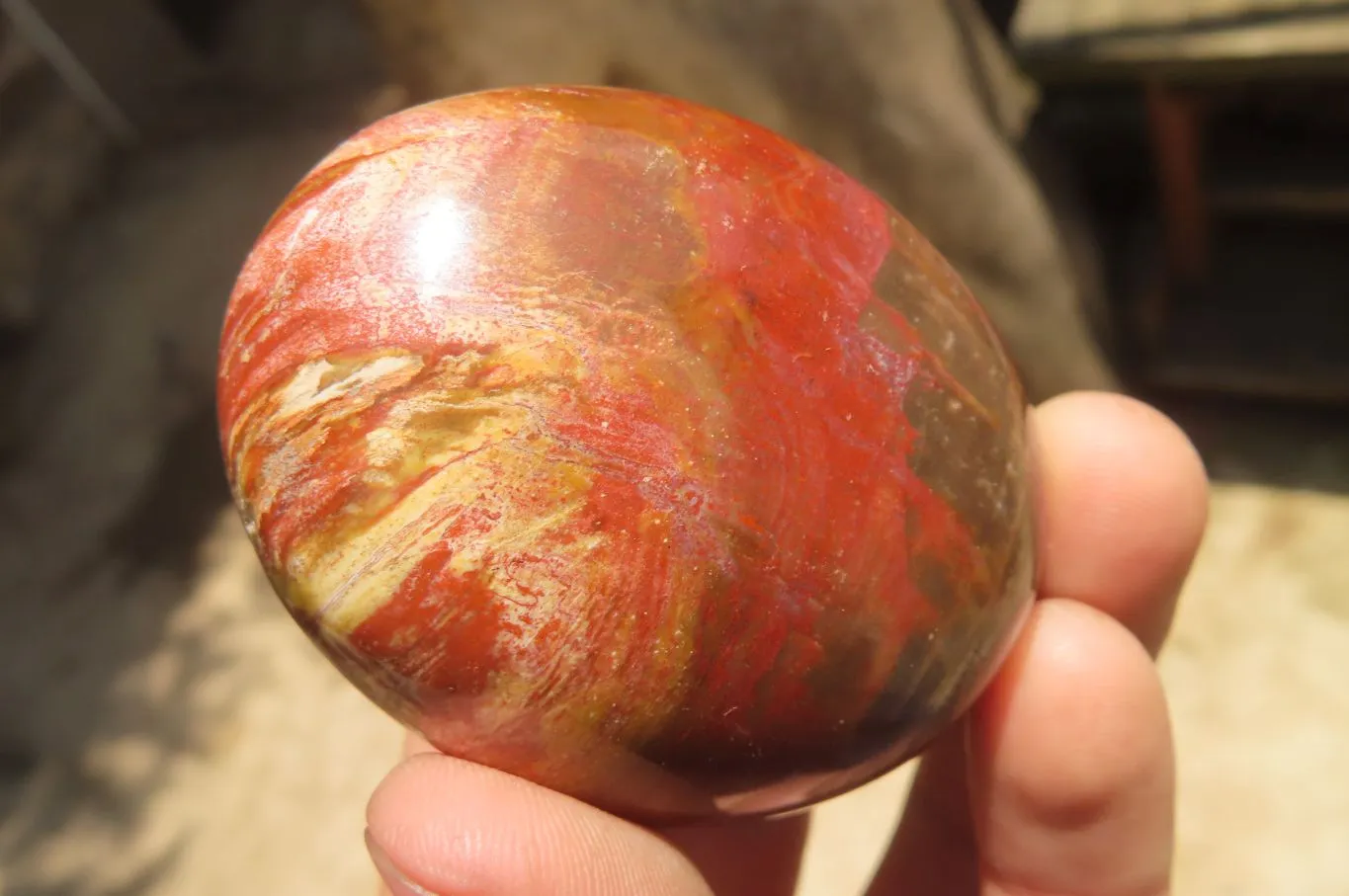 Polished Podocarpus Petrified Wood Palm Stones x 12 From Mahajanga, Madagascar