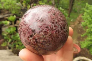 Polished Pyrope Garnet Matrix Spheres x 2 From Madagascar