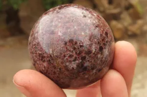 Polished Pyrope Garnet Matrix Spheres x 6 From Madagascar