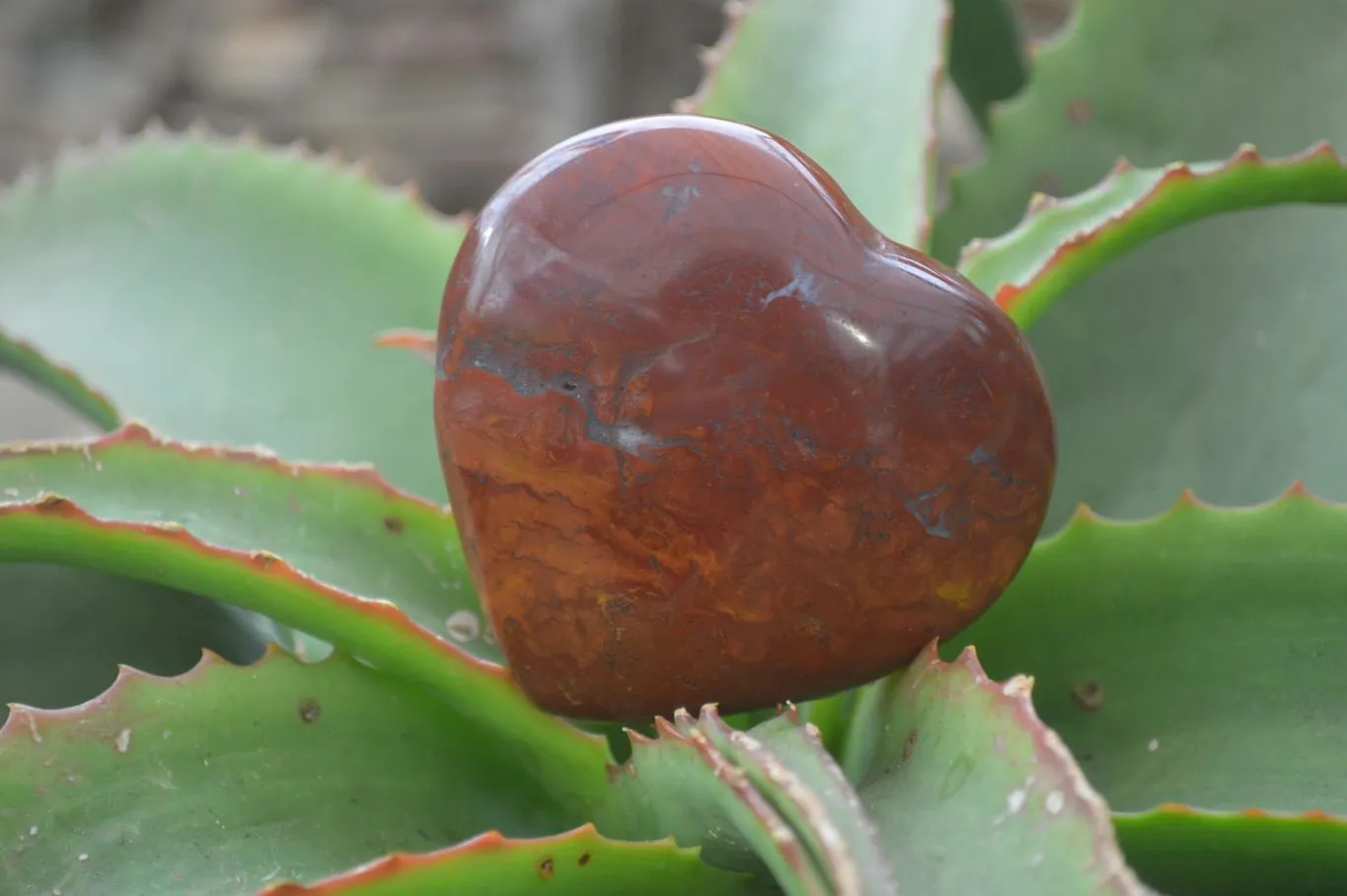 Polished Red Jasper Hearts  x 6 From Southern Africa