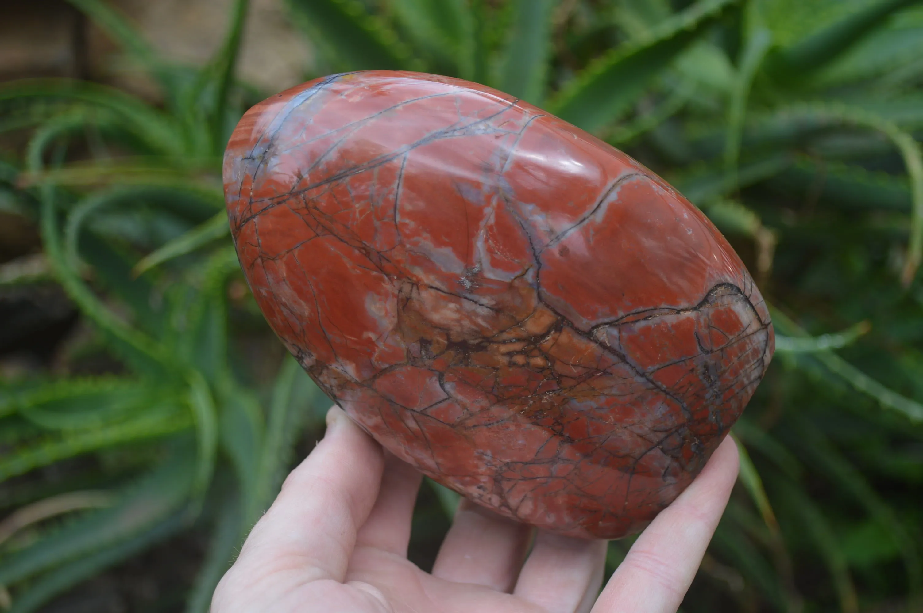 Polished Red Jasper Standing Free Forms x 2 From Madagascar