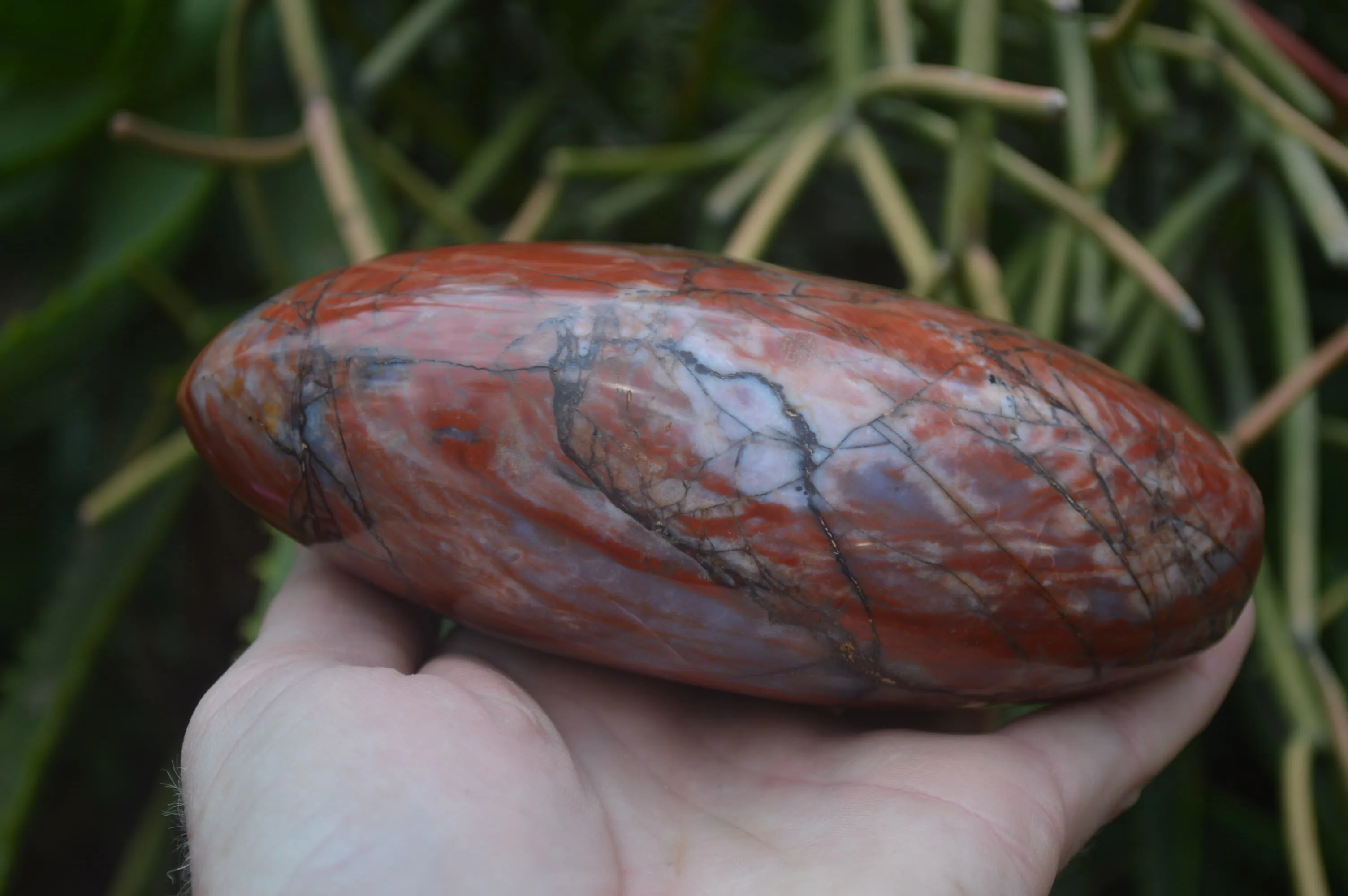 Polished Red Jasper Standing Free Forms x 2 From Madagascar