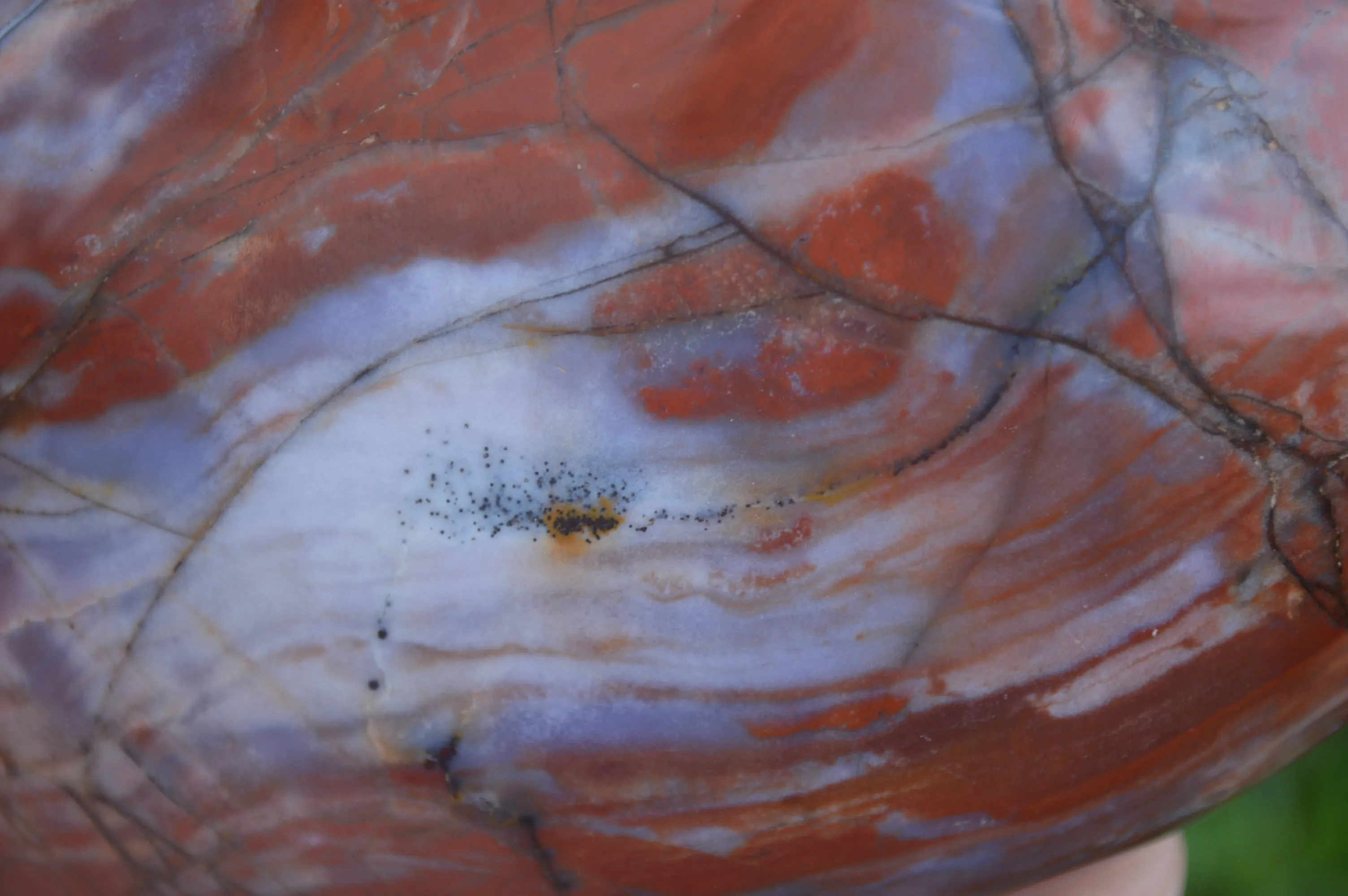 Polished Red Jasper Standing Free Forms x 2 From Madagascar