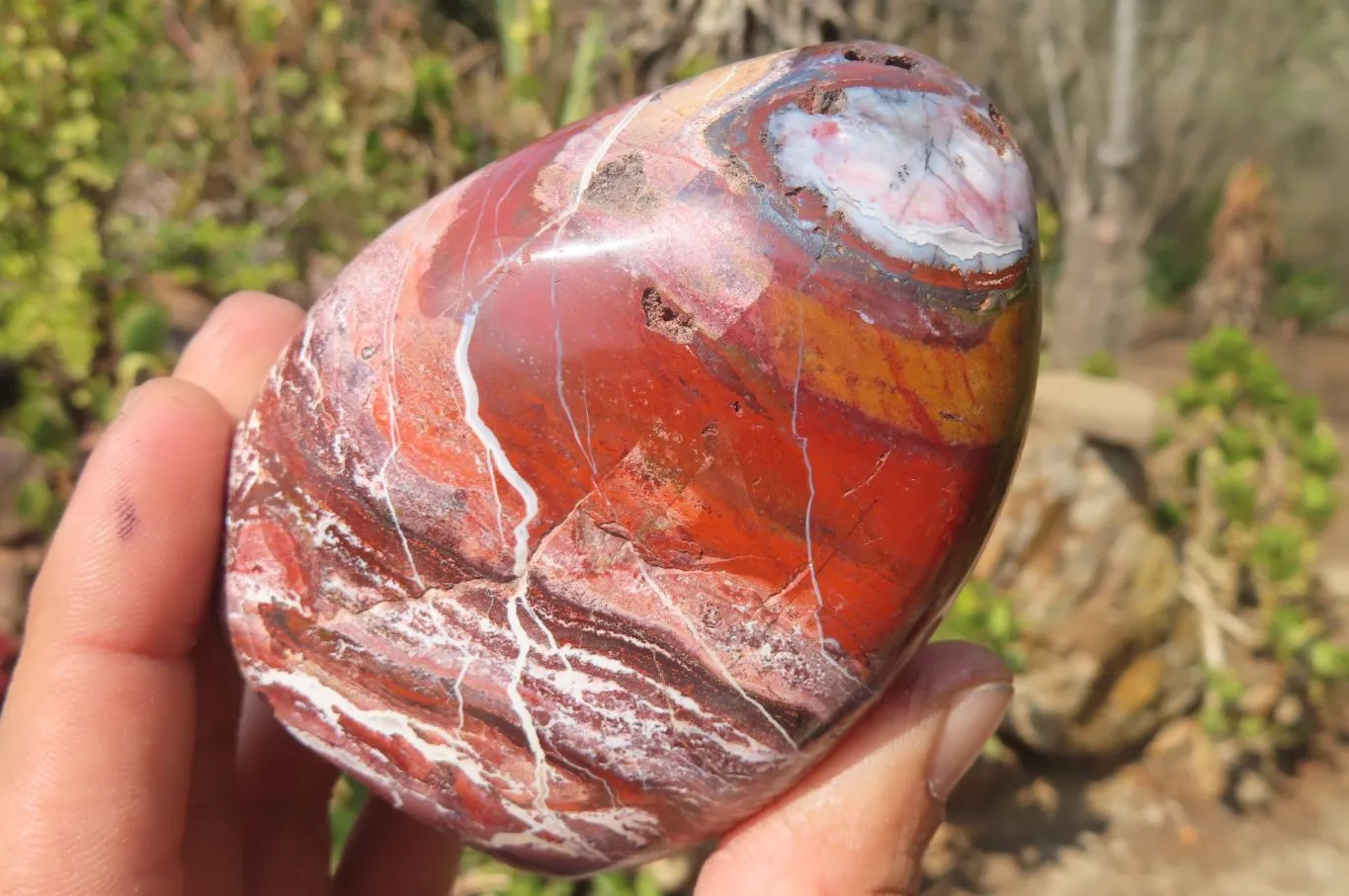 Polished Red Jasper Standing Free Forms x 3 From Madagascar