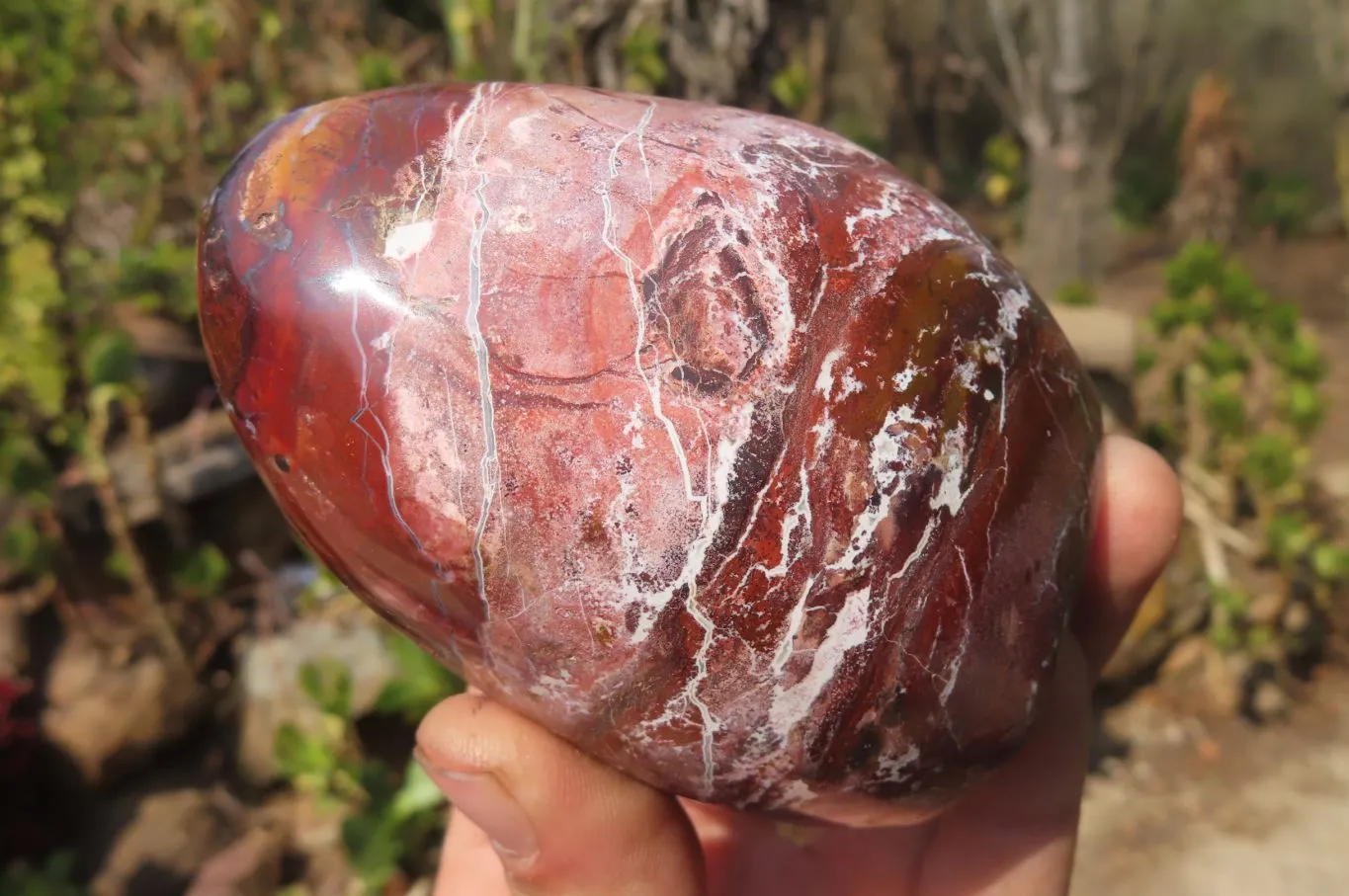 Polished Red Jasper Standing Free Forms x 3 From Madagascar